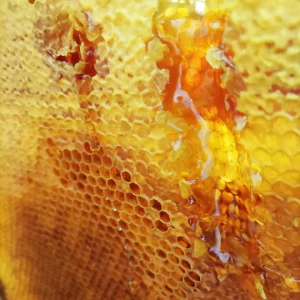 Miód pszczeli – fakty, o których wie niewiele osób